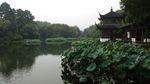 杭州风景