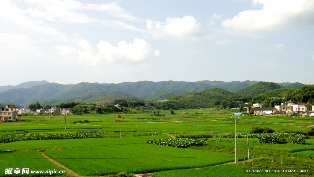 乡间田野