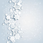 雪花 花