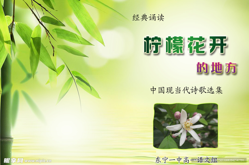 诗歌选集封面