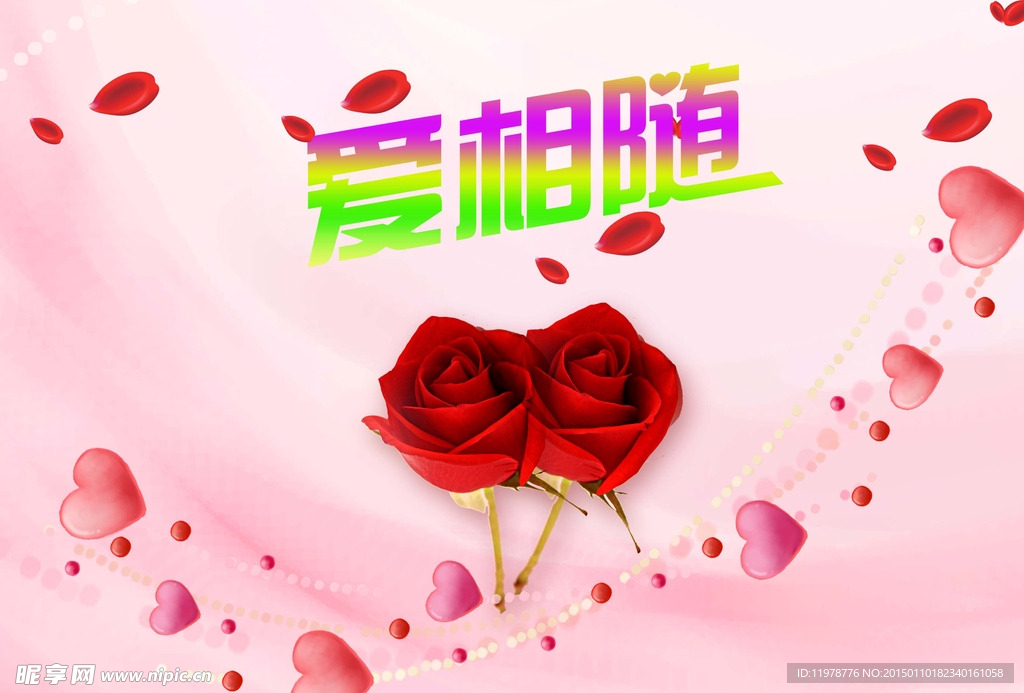 玫瑰