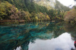 旅游山水