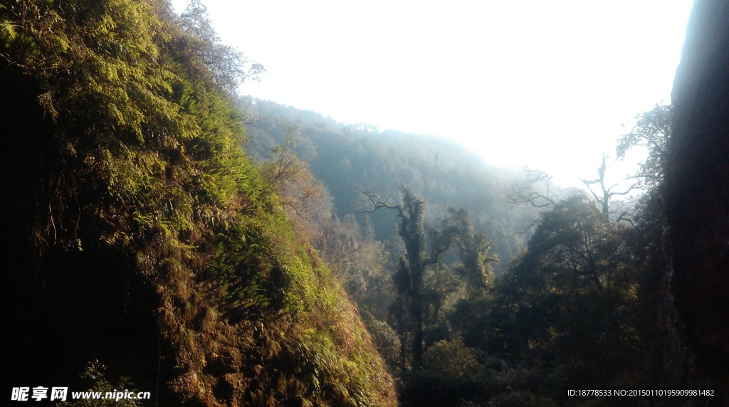 旅游风景
