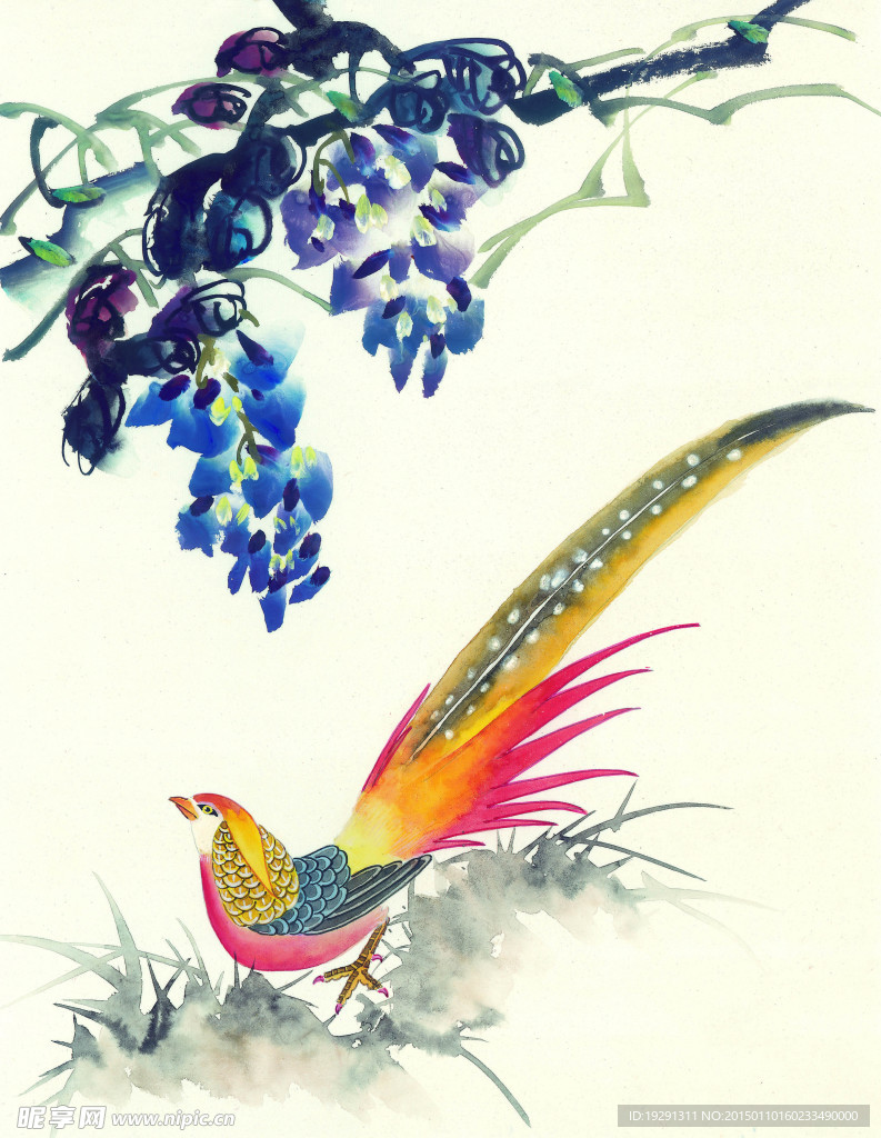 花鸟国画