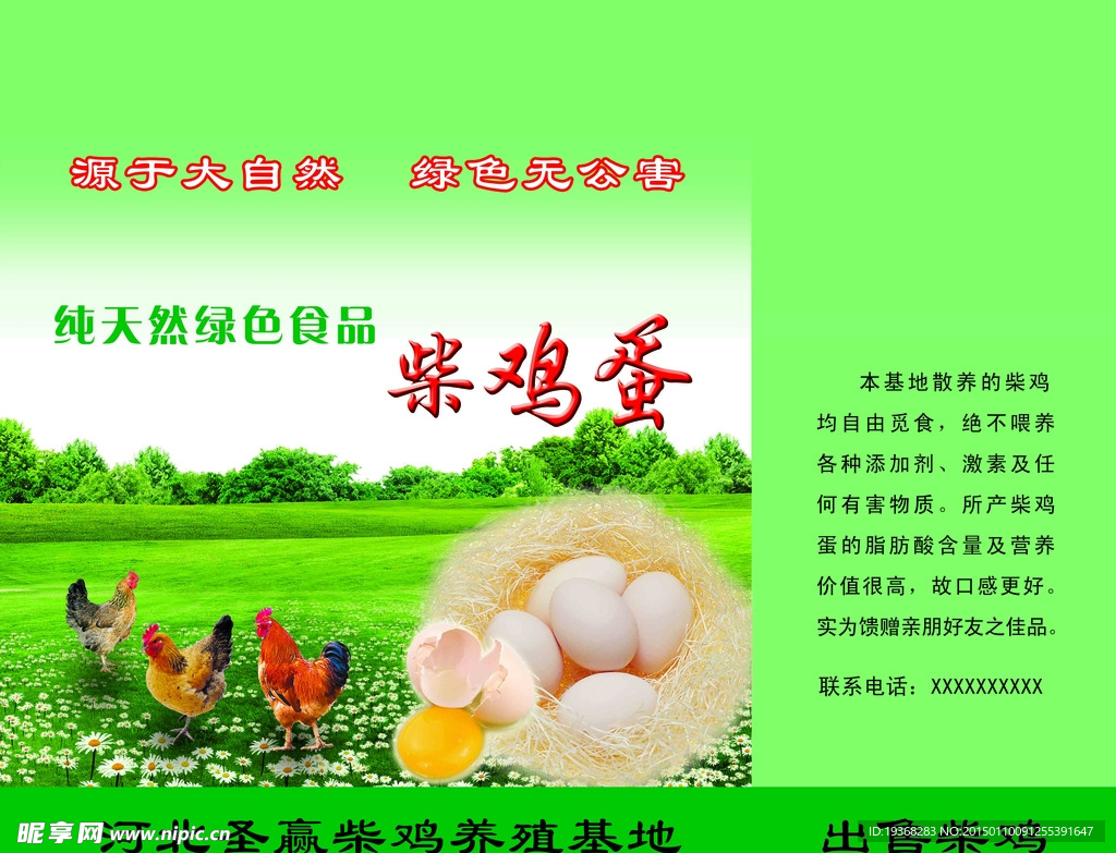 鸡蛋箱设计