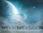 冬季雪景图片