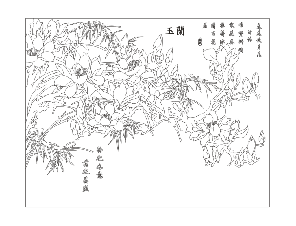 玉兰竹子