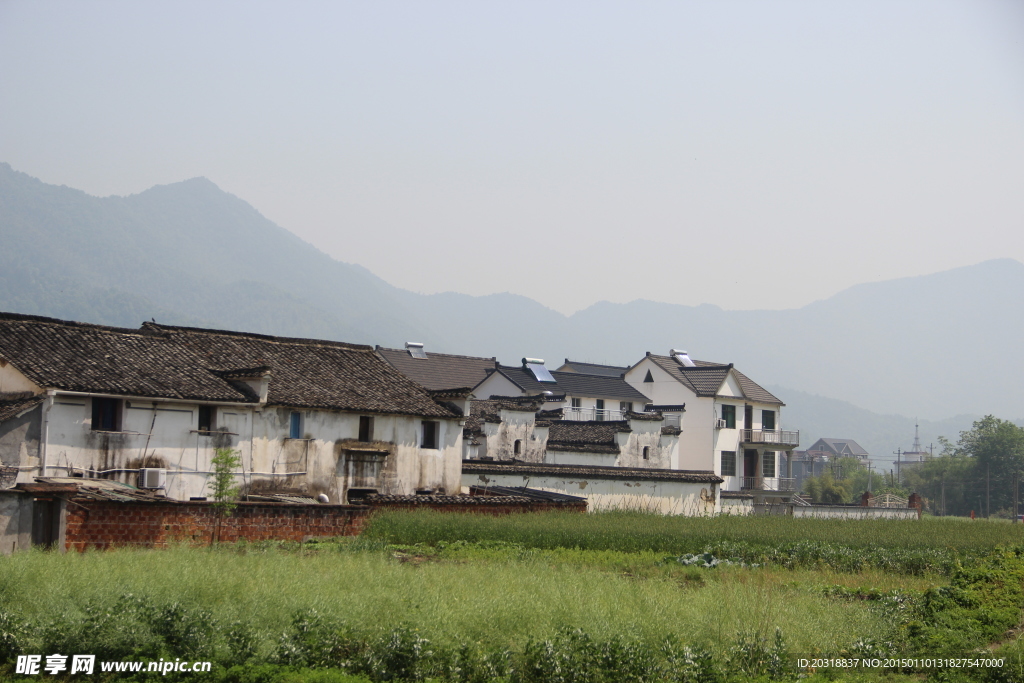 龙门古镇麦田