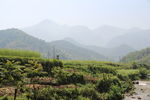 龙门古镇