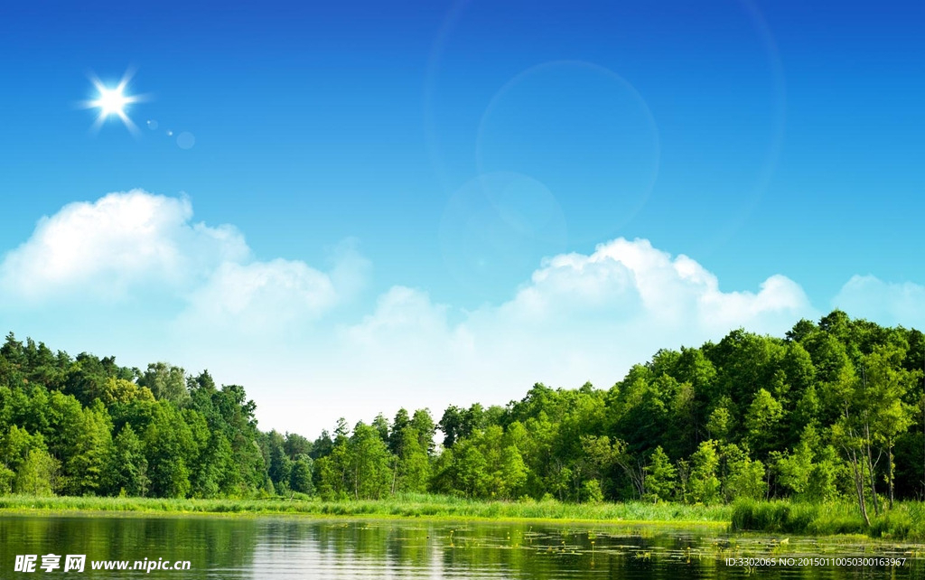树林与湖泊风景
