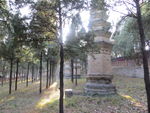 少林寺塔林景色
