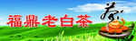 茶广告