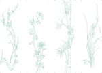 梅兰竹菊