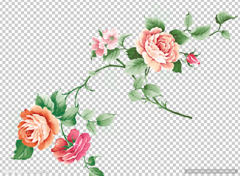 玫瑰花