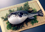 河豚