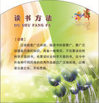读书文化（泛读）