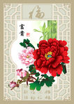 牡丹  国色天香 荣华富贵 牡