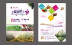 葡萄采摘宣传单