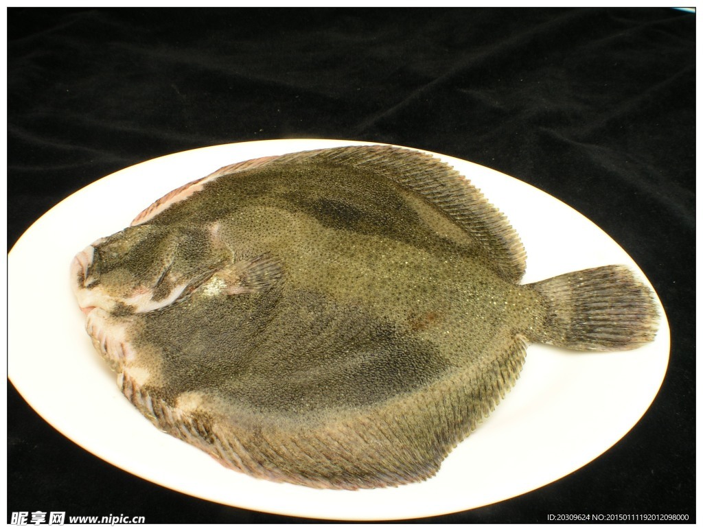 鸦片鱼和多宝鱼的区别(鸦片鱼和多宝鱼哪个贵) - 业百科