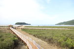 海陵岛