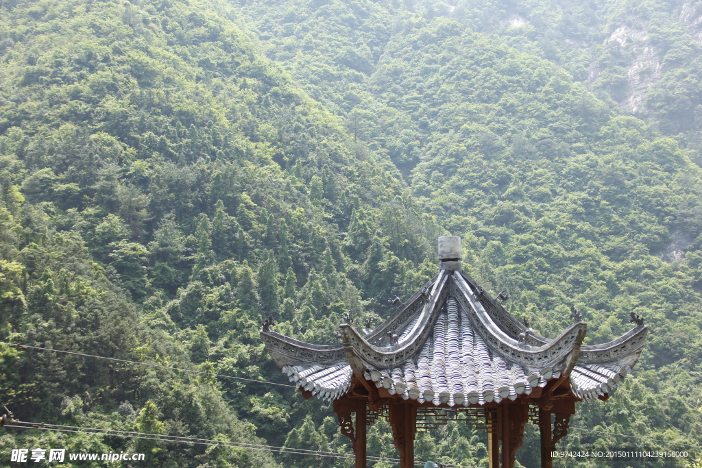 山林