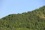 山林