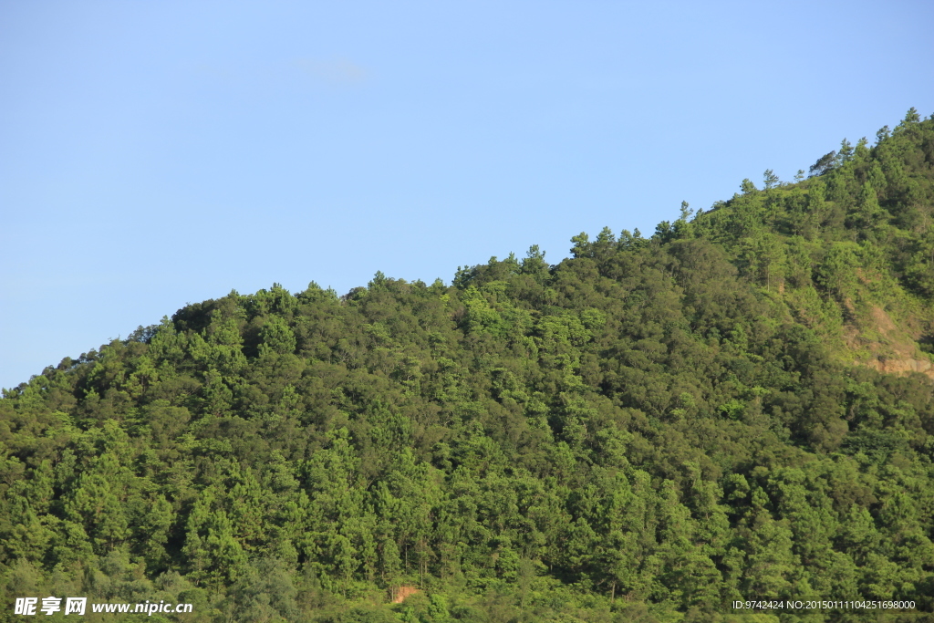 山林