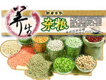 杂粮