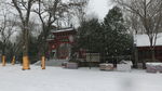 嵩阳书院雪景
