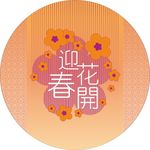 迎春花开