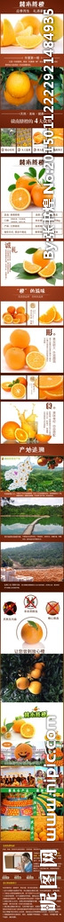 脐橙详情页