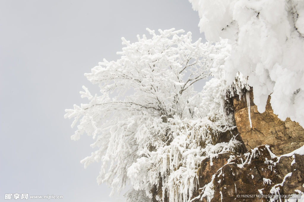 雪花