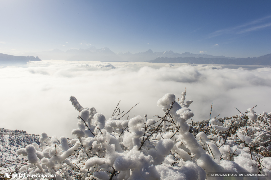 雪景