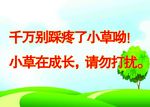 爱护花草