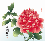 牡丹 花开盛世