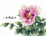 牡丹 花开盛世