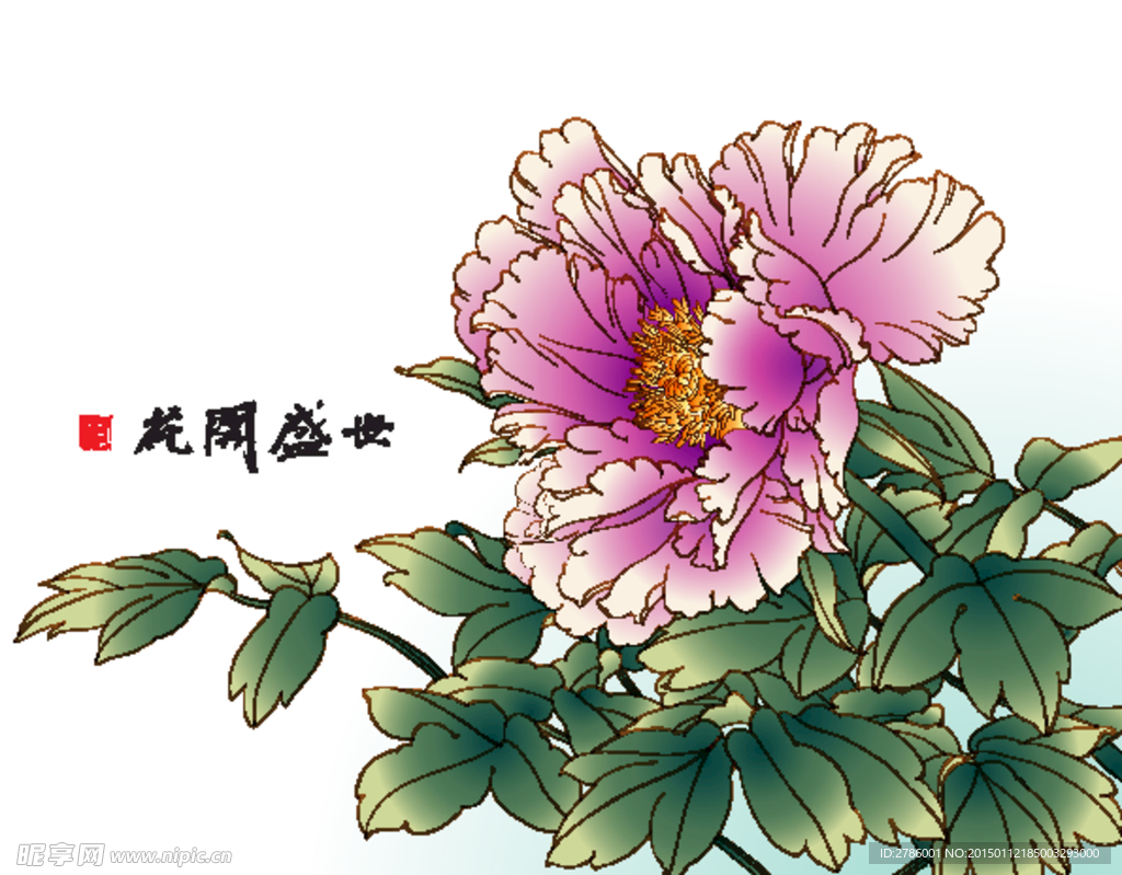 牡丹 花开盛世