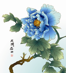 牡丹 花开盛世