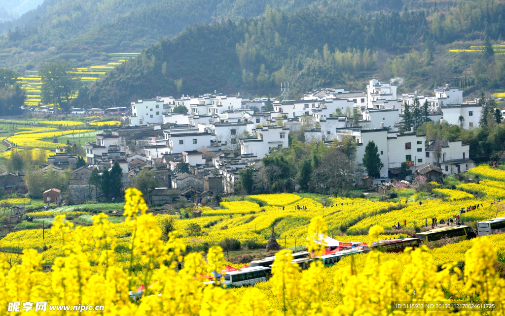 婺源乡村
