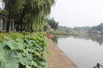 湖边风景