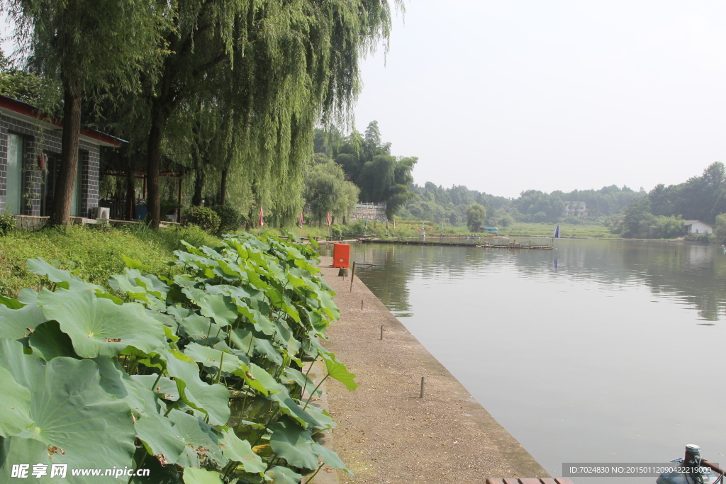 湖边风景