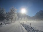 雪景