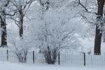 雪景