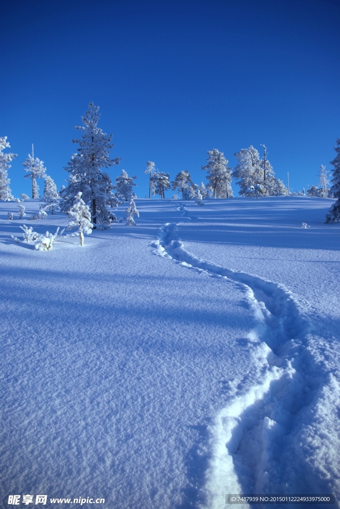 雪景