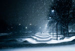 雪景