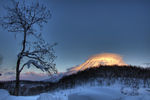雪景