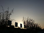 夕阳