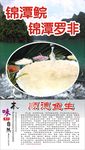 顺德鱼生