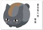 夏目友人帐  狸追