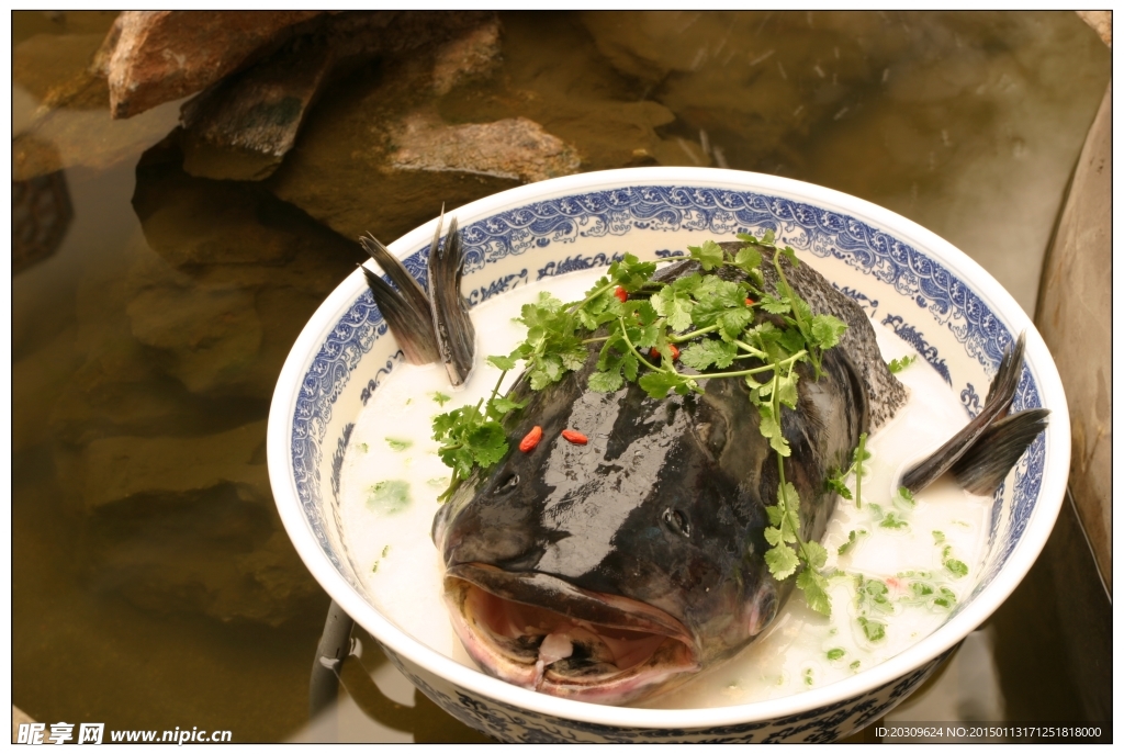 千岛湖鱼头